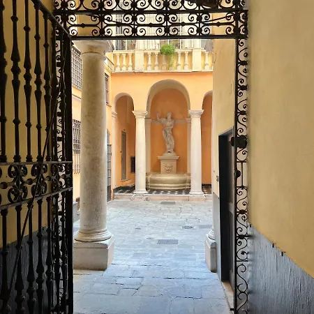 House Doge Antonino By World